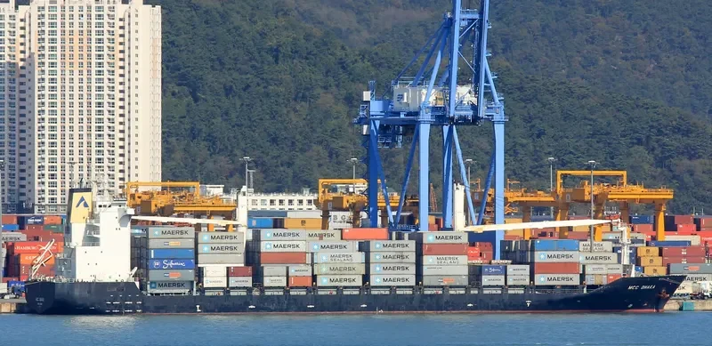 AS SERENA Container Ship IMO 9335812 photo 3