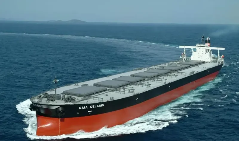 GAIA CELERIS Bulk Carrier IMO 9335848 photo 2