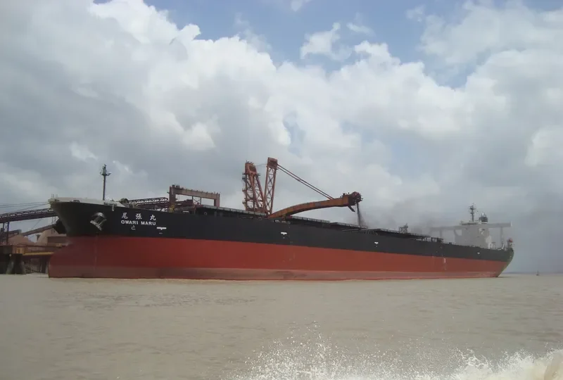 OWARI MARU Bulk Carrier IMO 9335850 photo 3