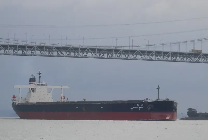 OWARI MARU Bulk Carrier IMO 9335850 photo 4