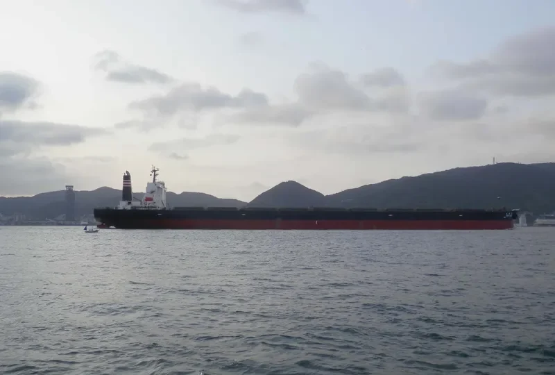 OWARI MARU Bulk Carrier IMO 9335850 photo 5