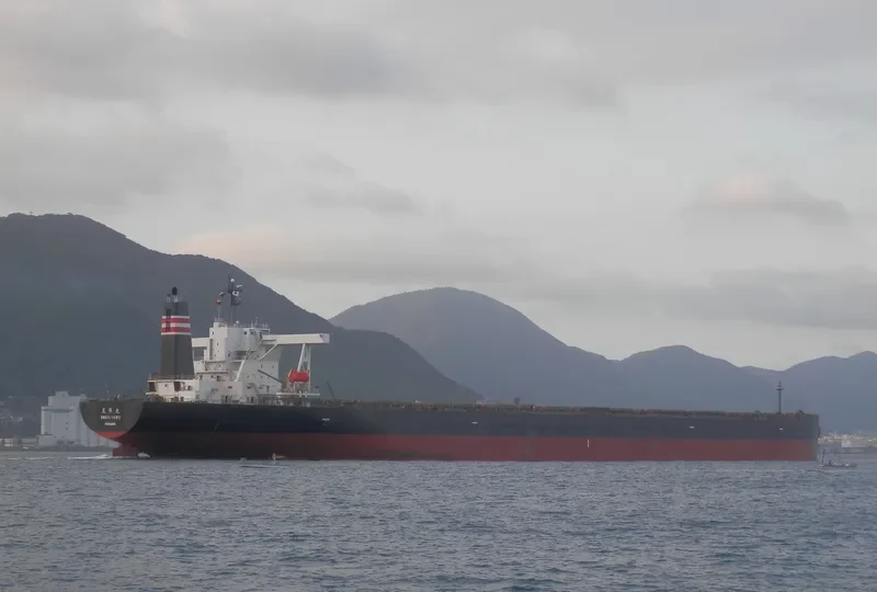 OWARI MARU Bulk Carrier IMO 9335850 photo 6