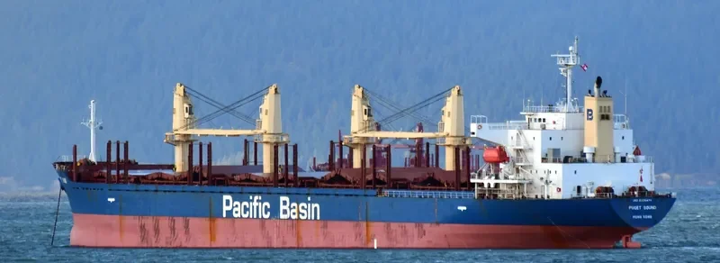 PUGET SOUND Bulk Carrier IMO 9335874 photo 3