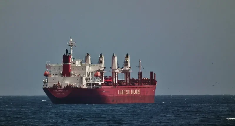 PUGET SOUND Bulk Carrier IMO 9335874 photo 6