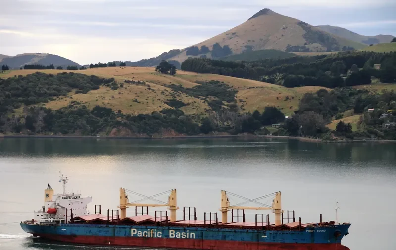 PUGET SOUND Bulk Carrier IMO 9335874 photo 8