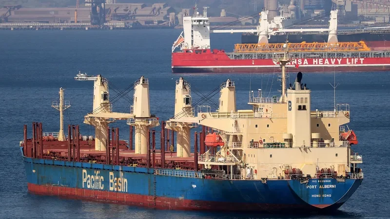 PORT ALBERNI Bulk Carrier IMO 9335886 photo 2