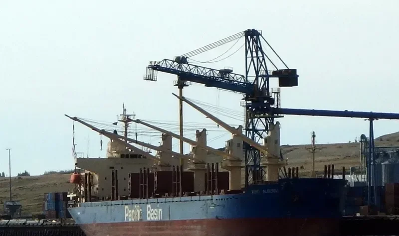 PORT ALBERNI Bulk Carrier IMO 9335886 photo 3