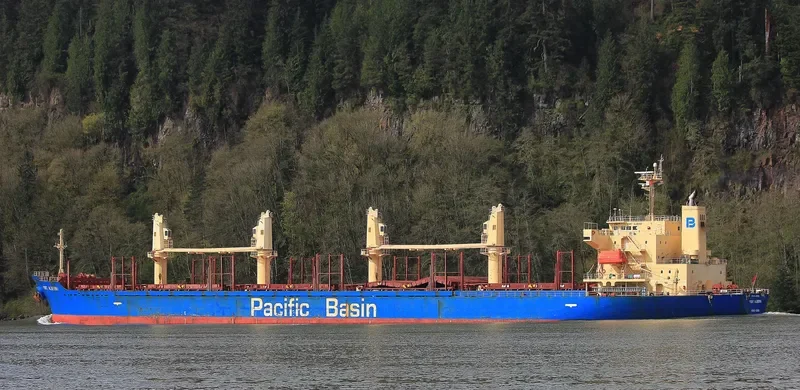 PORT ALBERNI Bulk Carrier IMO 9335886 photo 5