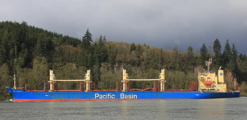PORT ALBERNI Bulk Carrier IMO 9335886 photo 6