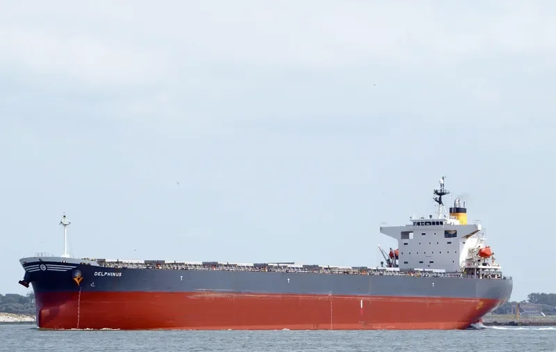 DELPHINUS Bulk Carrier IMO 9336000 photo 7