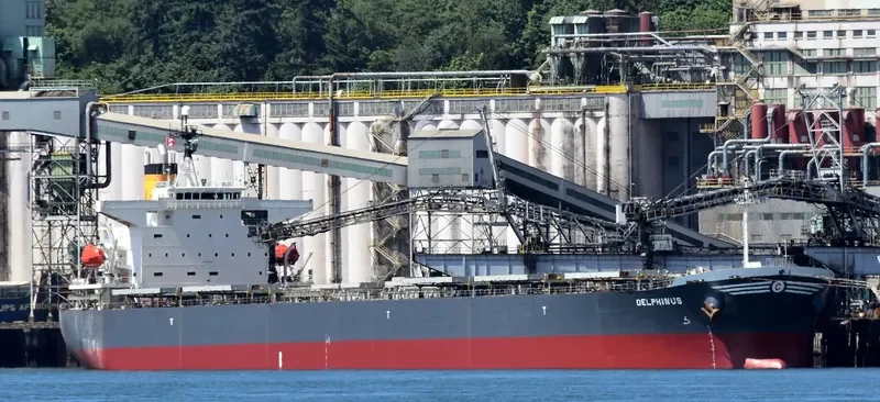 DELPHINUS Bulk Carrier IMO 9336000 photo 8