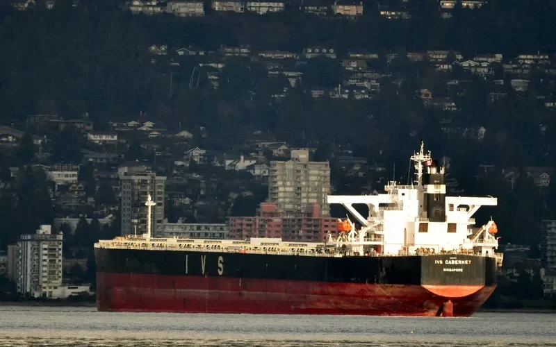 AQUAHOPE Bulk Carrier IMO 9336012 photo 2
