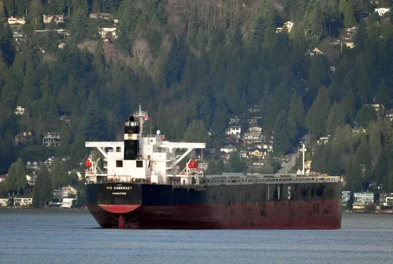 AQUAHOPE Bulk Carrier IMO 9336012 photo 3