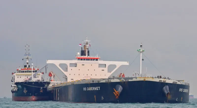 AQUAHOPE Bulk Carrier IMO 9336012 photo 5