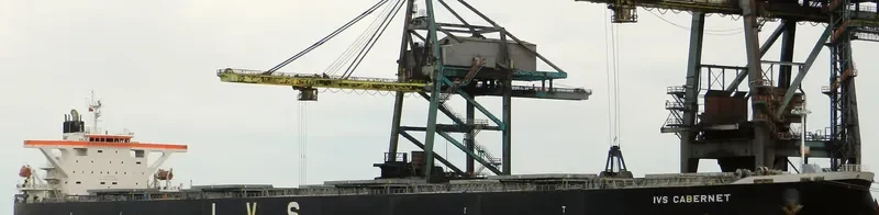 AQUAHOPE Bulk Carrier IMO 9336012 photo 8