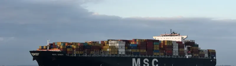 MSC SINDY Container Ship IMO 9336048