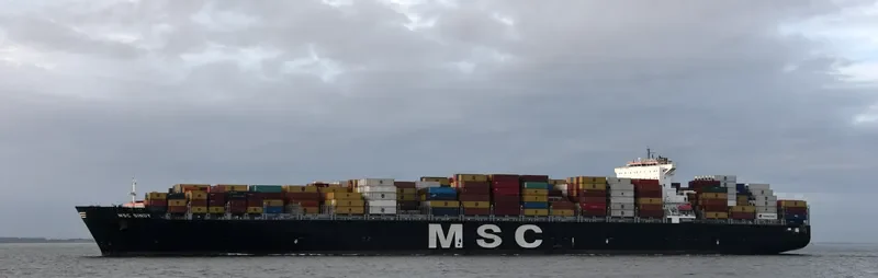 MSC SINDY Container Ship IMO 9336048 photo 2