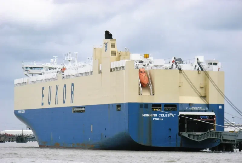 MORNING CELESTA General Cargo IMO 9336062
