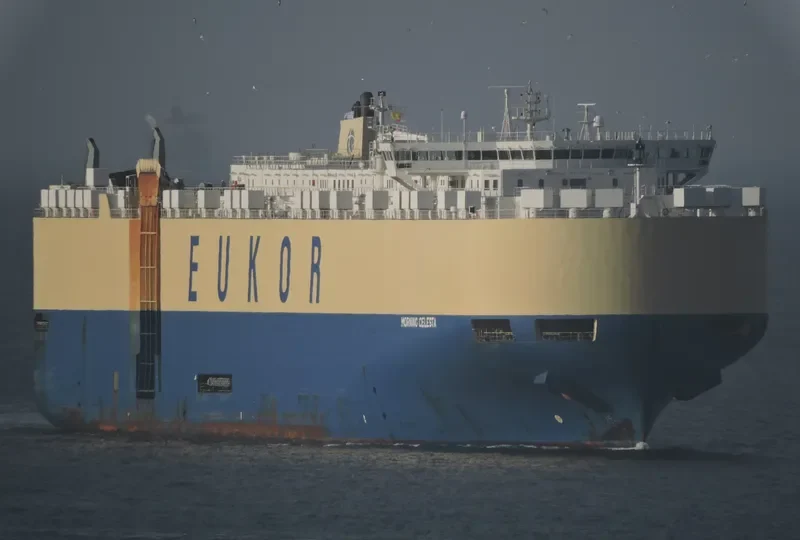 MORNING CELESTA General Cargo IMO 9336062 photo 4
