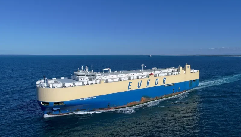 MORNING CELESTA General Cargo IMO 9336062 photo 6