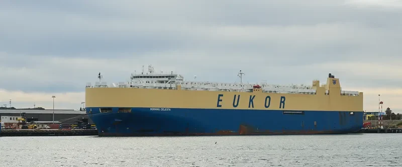 MORNING CELESTA General Cargo IMO 9336062 photo 8