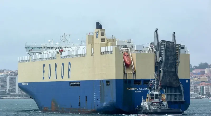 MORNING CELESTA General Cargo IMO 9336062 photo 9