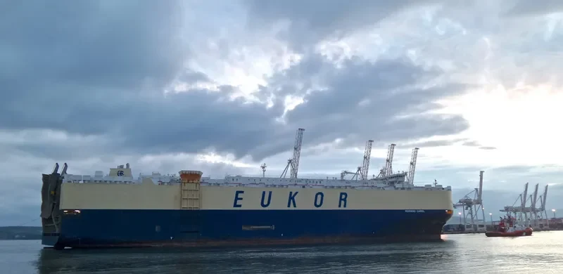 MORNING CAROL General Cargo IMO 9336086 photo 3