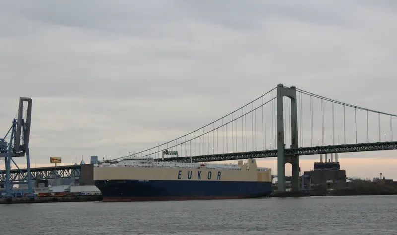 MORNING CAROL General Cargo IMO 9336086 photo 7