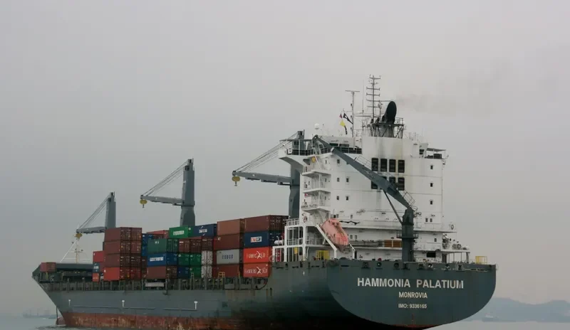HAMMONIA PALATIUM Container Ship IMO 9336165