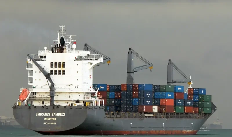 HAMMONIA PALATIUM Container Ship IMO 9336165 photo 2