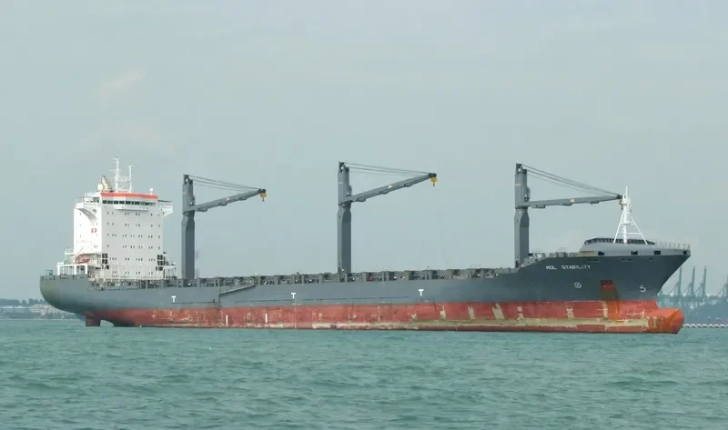 HAMMONIA PALATIUM Container Ship IMO 9336165 photo 3
