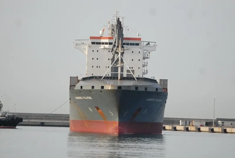 HAMMONIA PALATIUM Container Ship IMO 9336165 photo 9