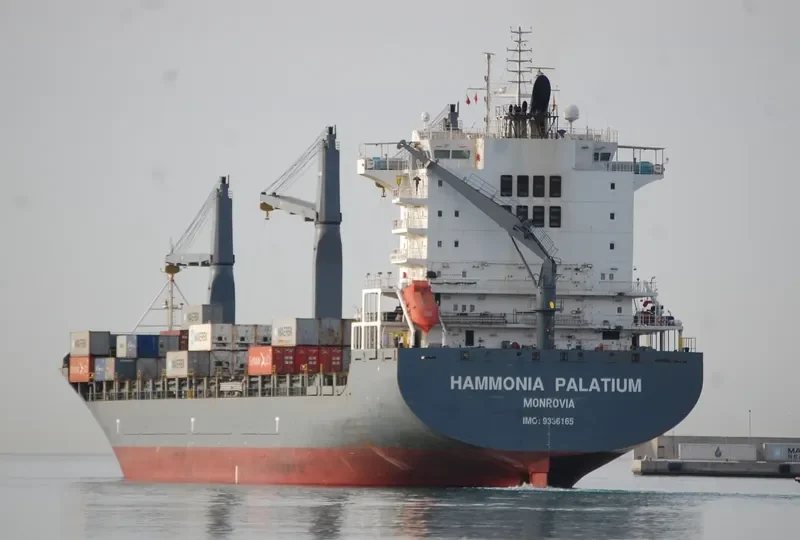 HAMMONIA PALATIUM Container Ship IMO 9336165 photo 11