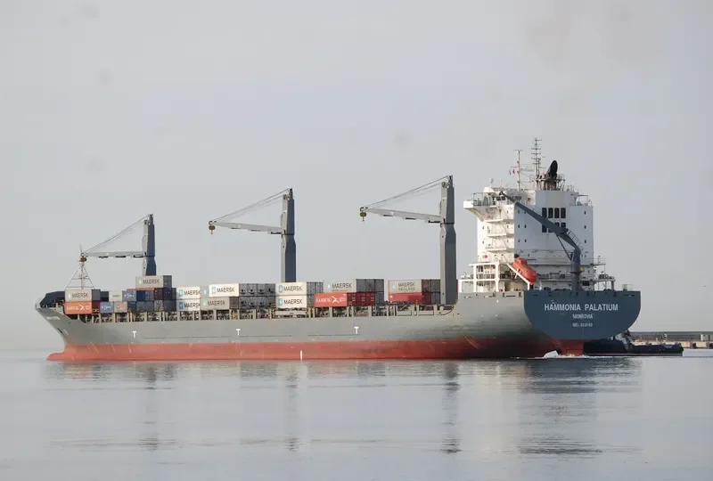 HAMMONIA PALATIUM Container Ship IMO 9336165 photo 24