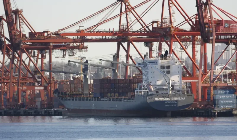 HAMMONIA BEROLINA Container Ship IMO 9336177 photo 2