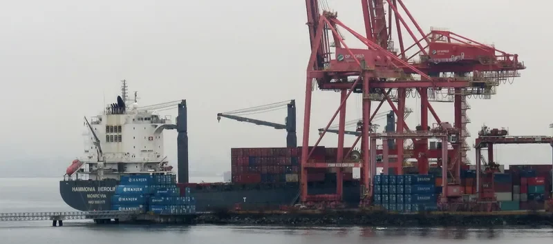 HAMMONIA BEROLINA Container Ship IMO 9336177 photo 4