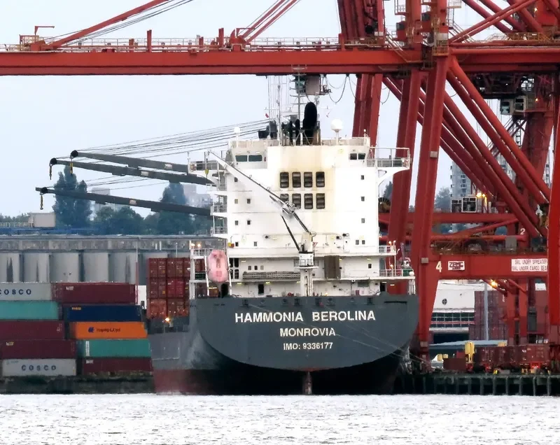 HAMMONIA BEROLINA Container Ship IMO 9336177 photo 7