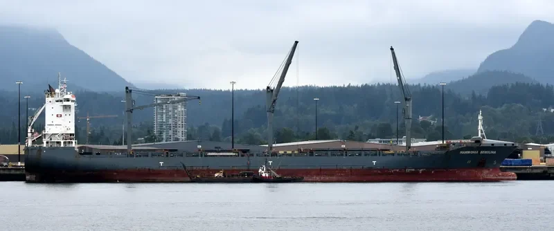 HAMMONIA BEROLINA Container Ship IMO 9336177 photo 8