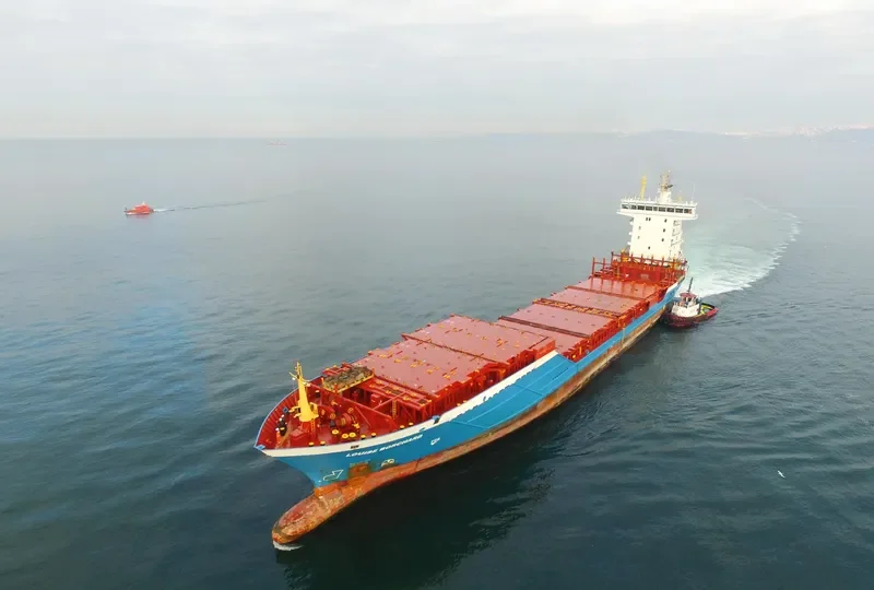 LOUISE BORCHARD Container Ship IMO 9336294 photo 3
