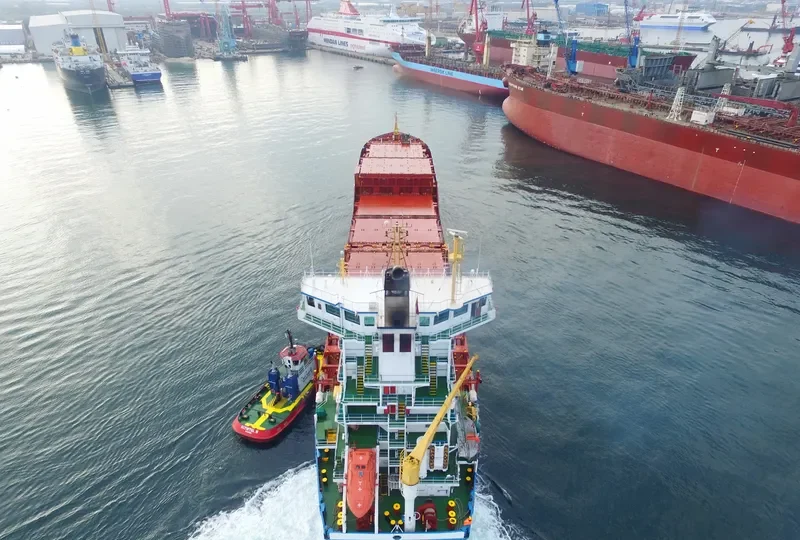 LOUISE BORCHARD Container Ship IMO 9336294 photo 5