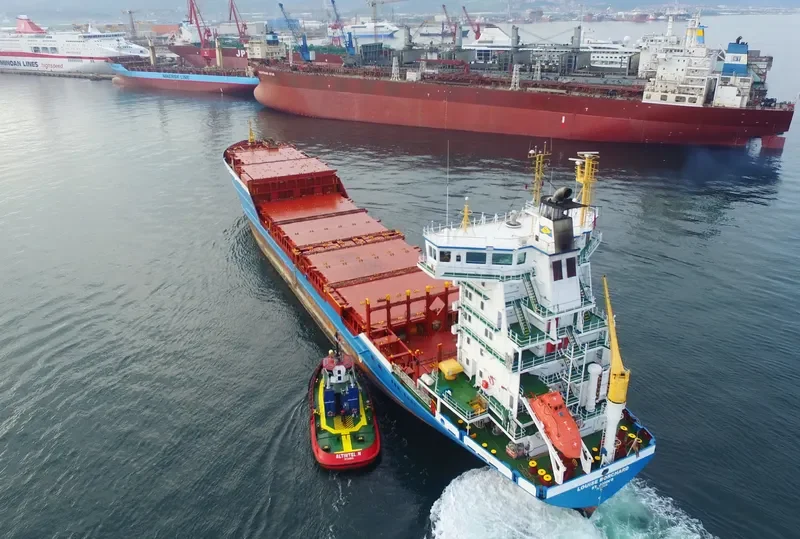 LOUISE BORCHARD Container Ship IMO 9336294 photo 7