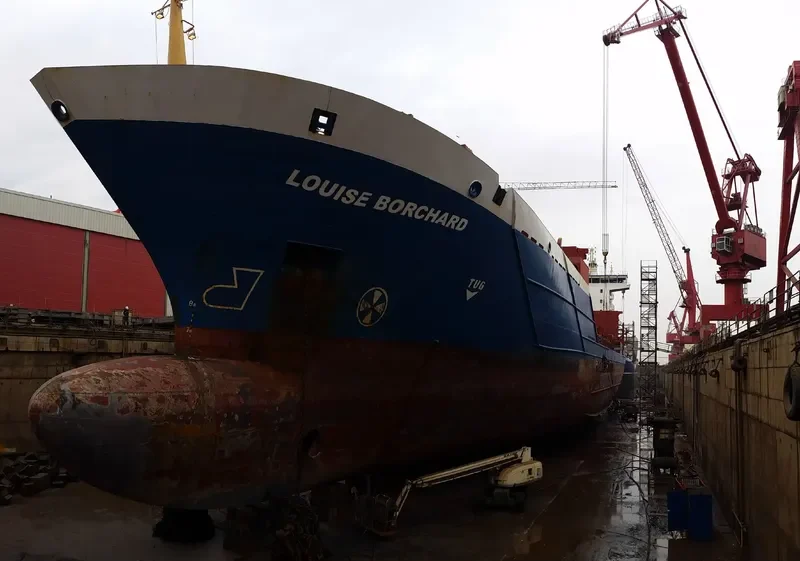 LOUISE BORCHARD Container Ship IMO 9336294 photo 8