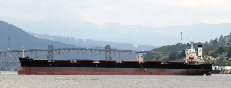 WOOYANG FRIEND Bulk Carrier IMO 9336373 photo 5