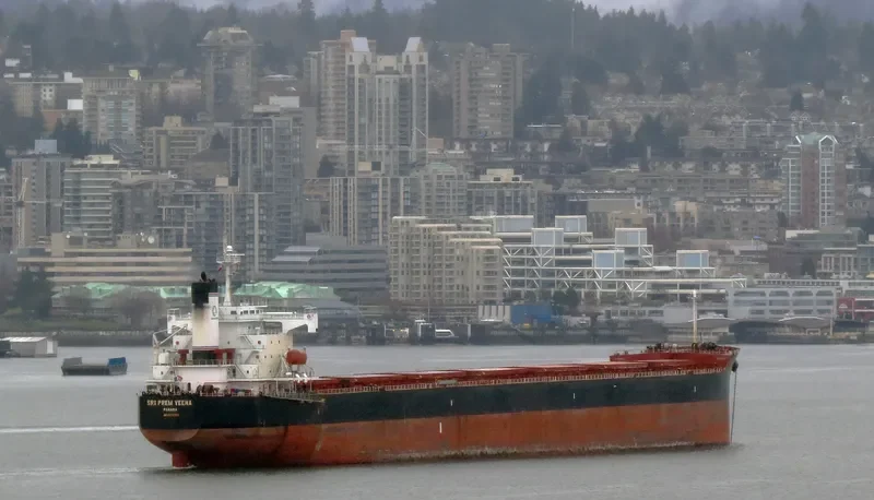 WOOYANG FRIEND Bulk Carrier IMO 9336373 photo 6