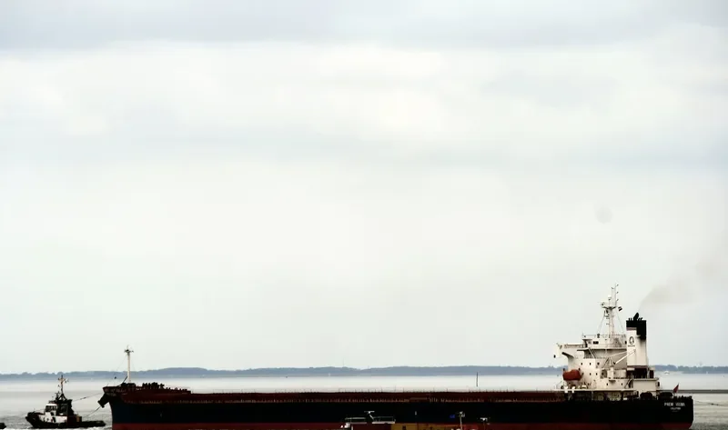 WOOYANG FRIEND Bulk Carrier IMO 9336373 photo 8