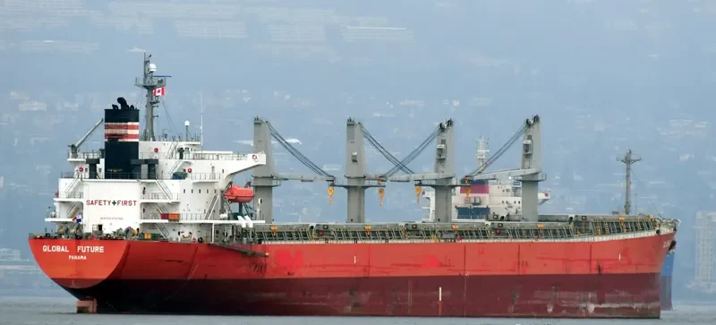 GLOBAL FUTURE Bulk Carrier IMO 9336385
