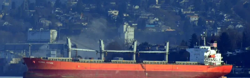 GLOBAL FUTURE Bulk Carrier IMO 9336385 photo 2