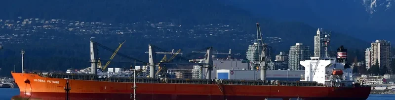 GLOBAL FUTURE Bulk Carrier IMO 9336385 photo 4