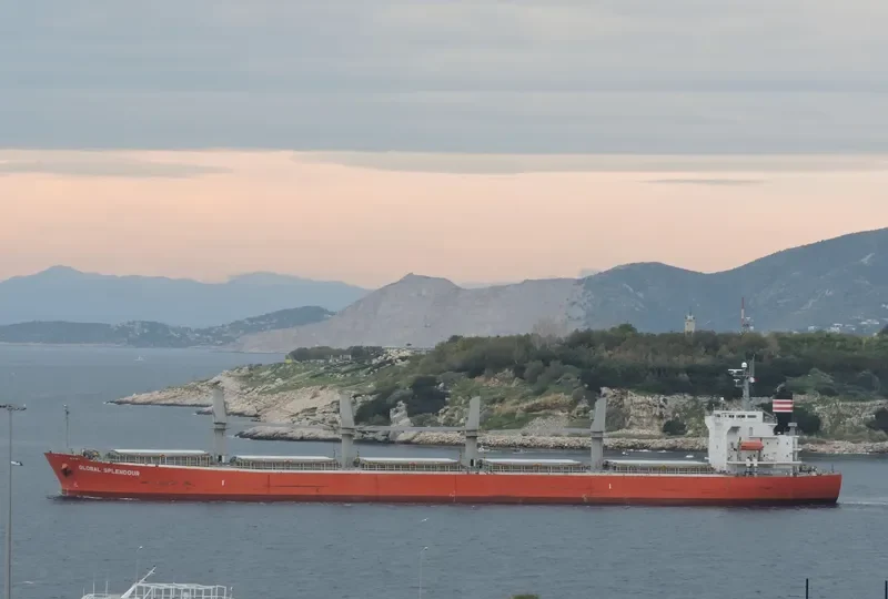 GLOBAL FUTURE Bulk Carrier IMO 9336385 photo 8