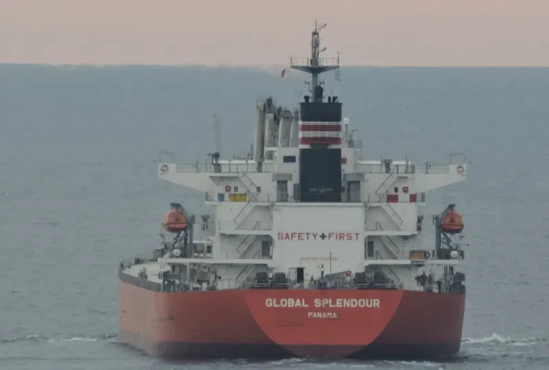 GLOBAL FUTURE Bulk Carrier IMO 9336385 photo 10